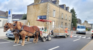 cheval-territorial-questembert-750x410.jpg