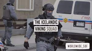viking-squad-police-islande.jpeg