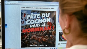 CochonMorbihan-678x381.jpg